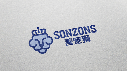 上海赛上品牌设计公司 以专业策划重塑企业形象，赋能商业价值