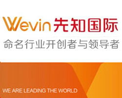 起名领导者与开拓者 市场营销策划的双翼齐飞